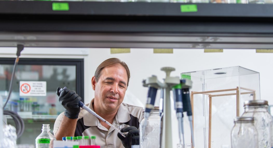 Professor in the lab